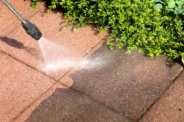 Best Best Pressure Washing Companies  in Burbank, IL